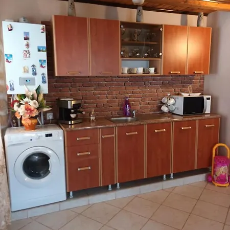 Casa De Vacanta Alina Transfagarasan Cartisoara